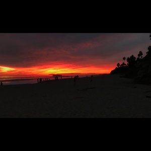 Meet your Posher, Sydney